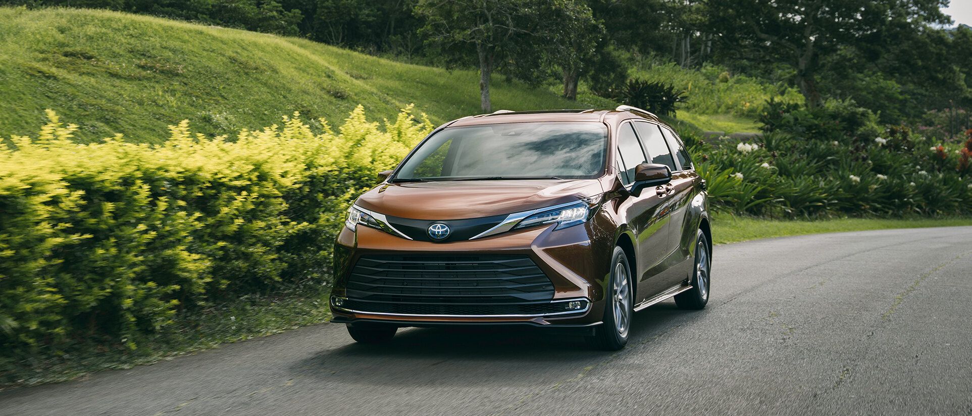 2024_Sienna_Hero.jpg