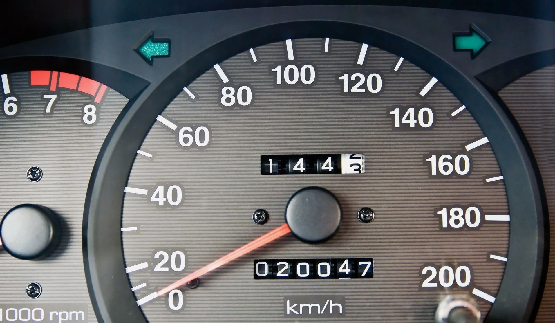 547547567.jpg
